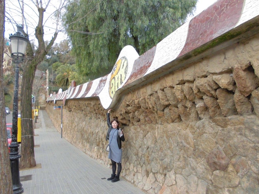 CIMG0458